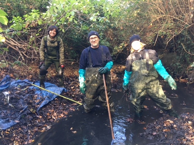 A tarpaulin speeds things up
